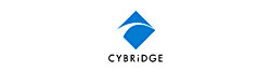 CYBRIDGE_flashimage04